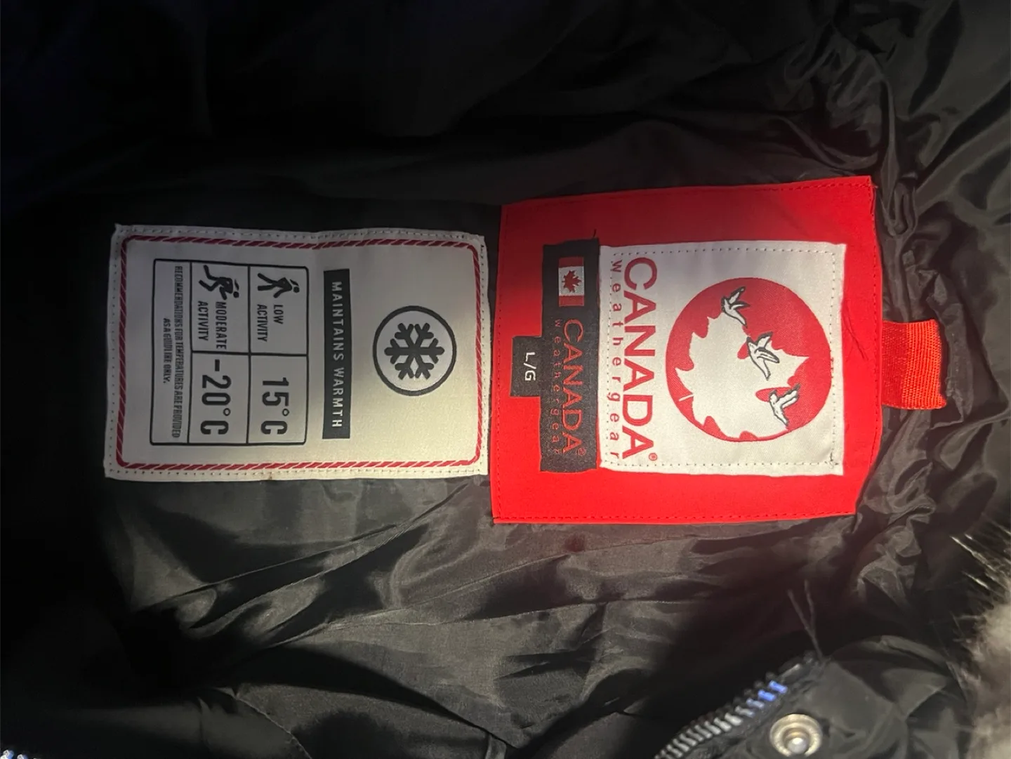 Woman’s winter coat image indicator(5)