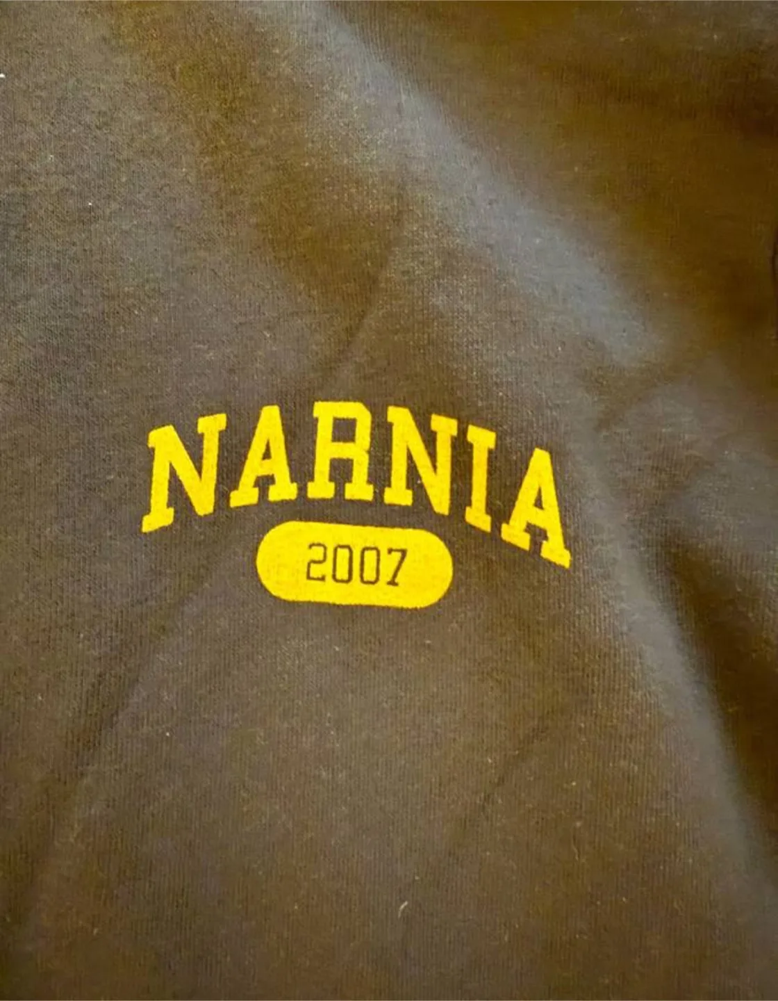 The Chronicles of Narnia - Prince Caspian crew sweatshirt 2007 image indicator(2)