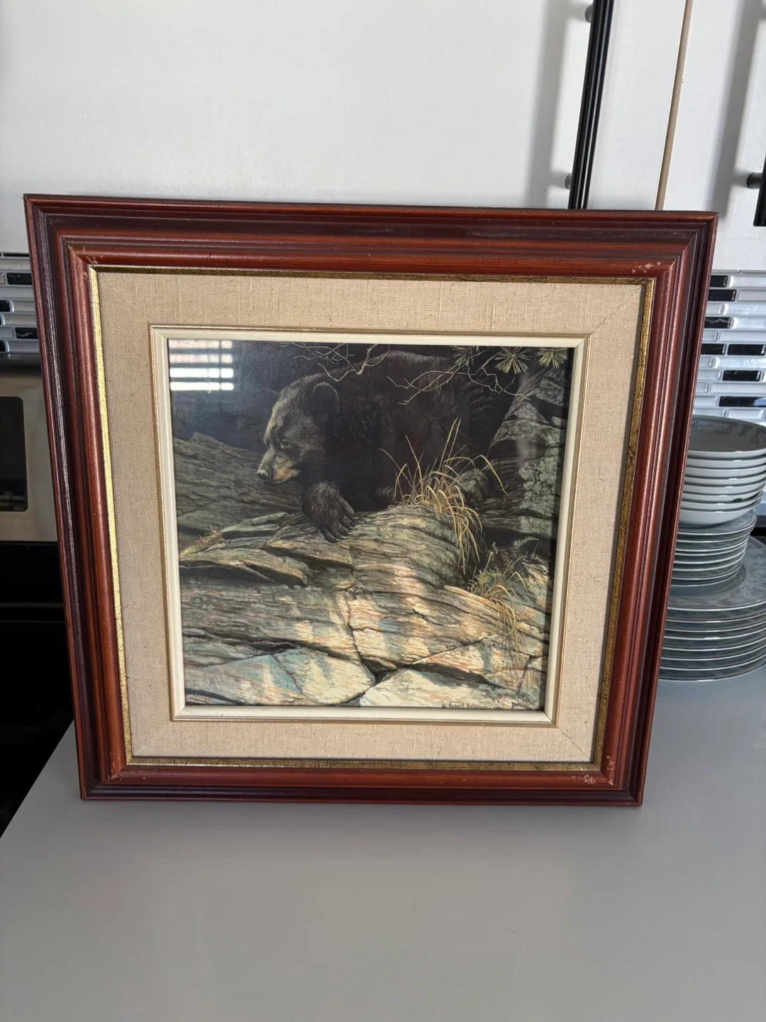 Robert Bateman - Watchful Repose - Black Bear thumbnail