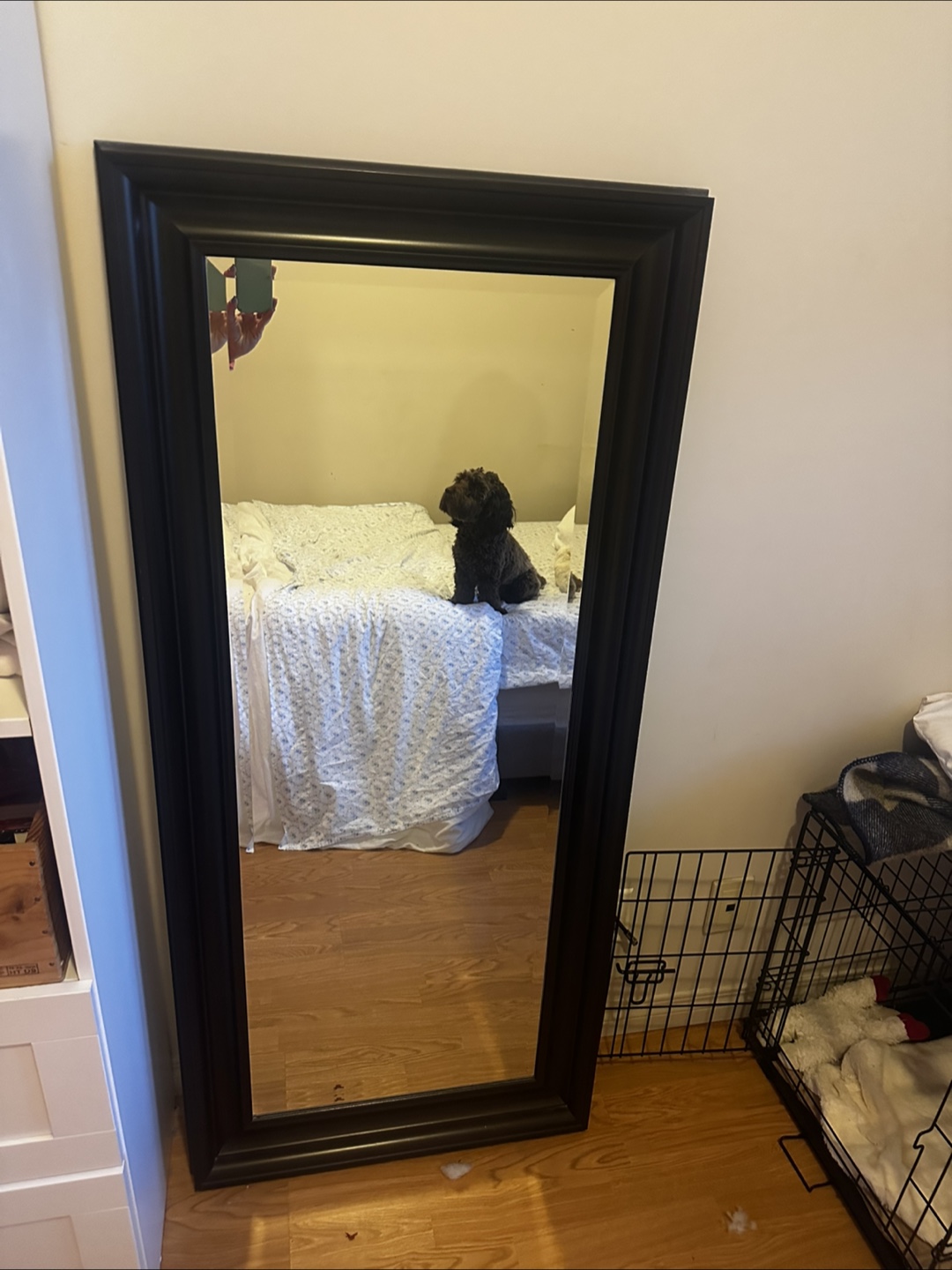Full-Length Black Framed Mirror