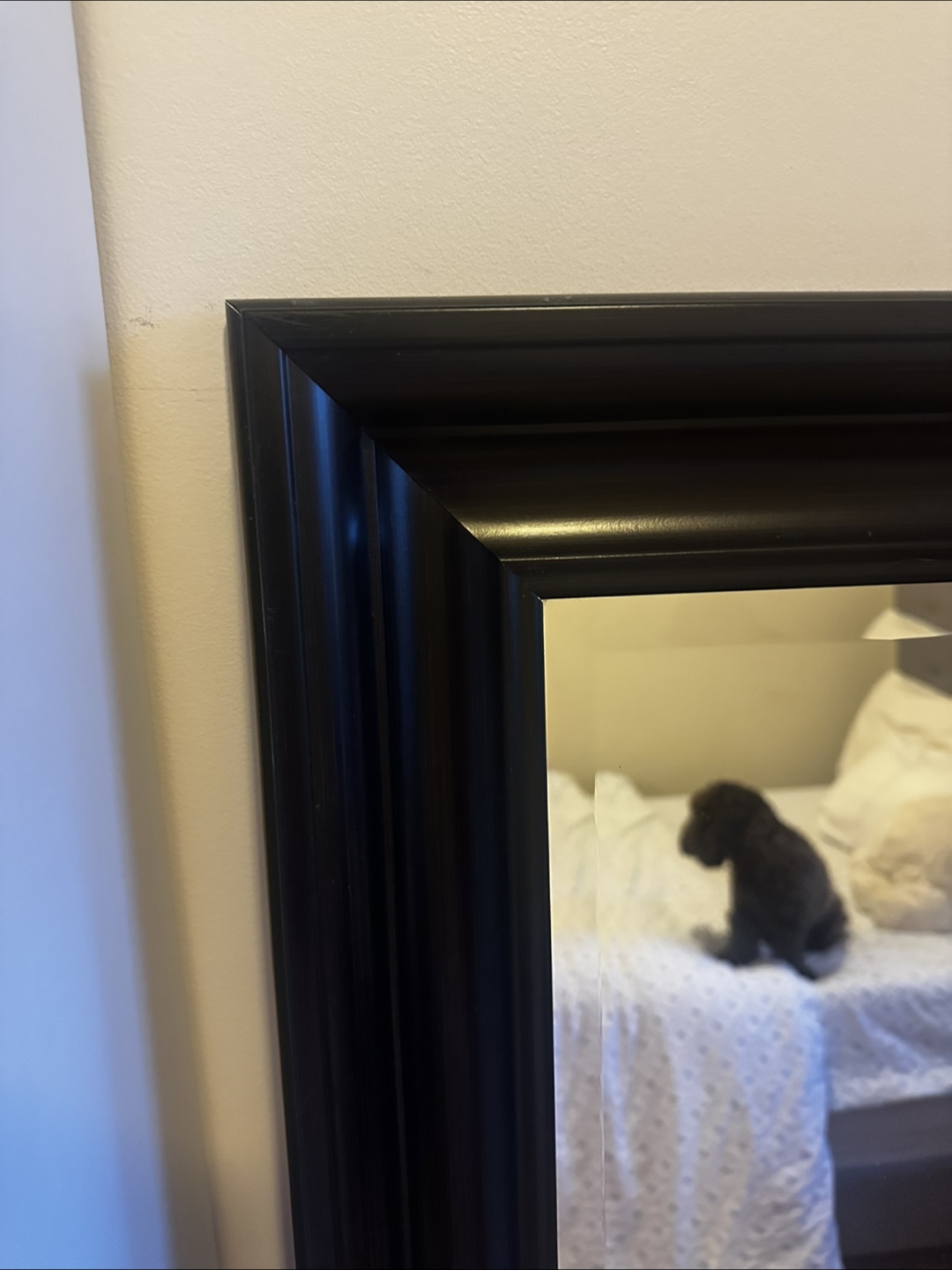 Full-Length Black Framed Mirror - photo 3