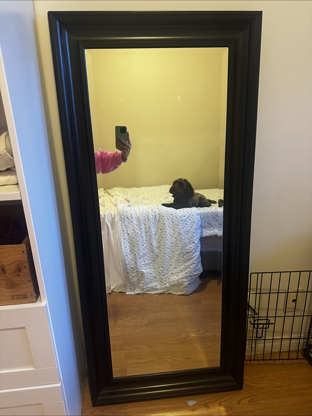 Full-Length Black Framed Mirror - photo 2