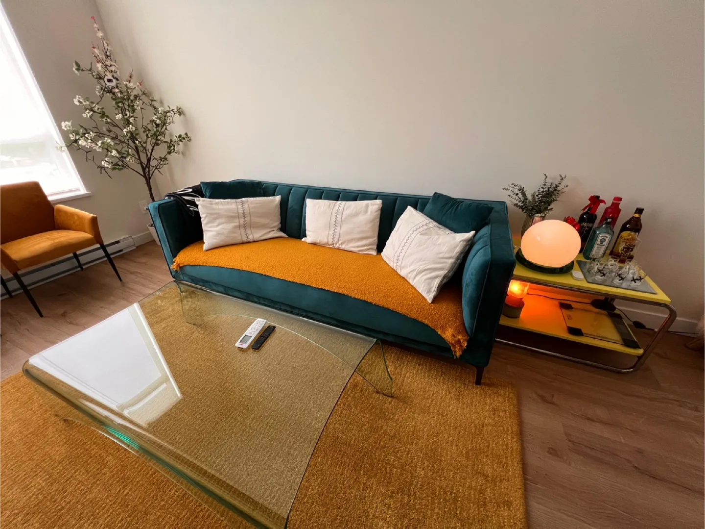 Teal Velvet Sofa with Throw Blanket thumbnail