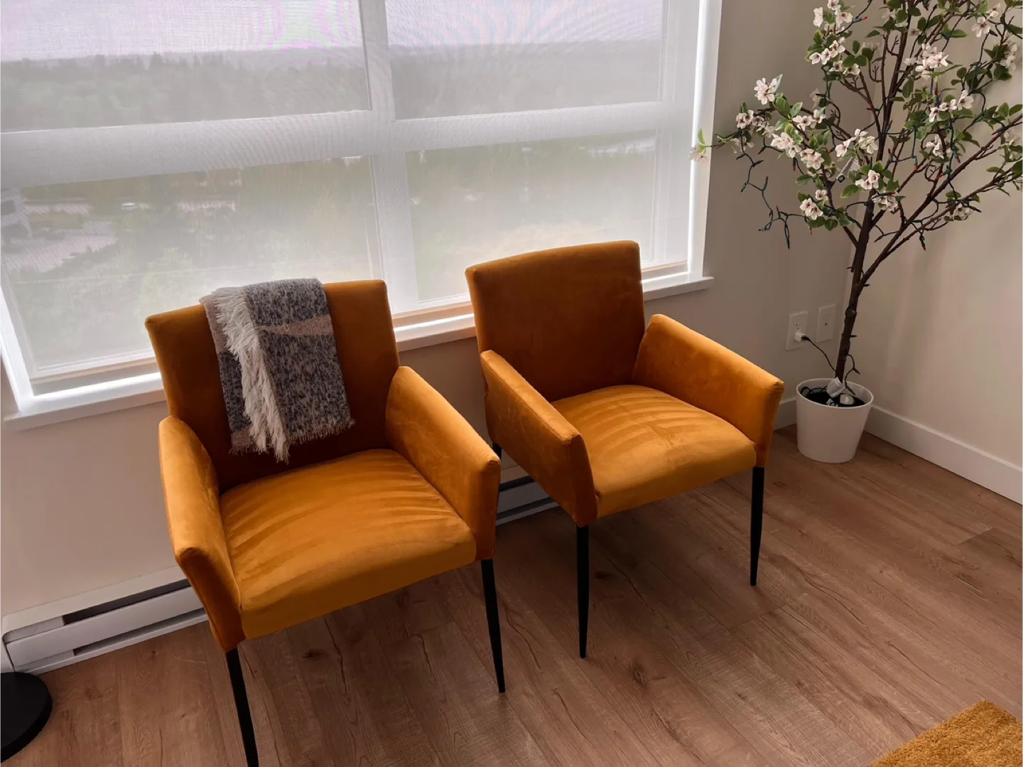 Pair of Mustard Yellow Velvet Armchairs thumbnail