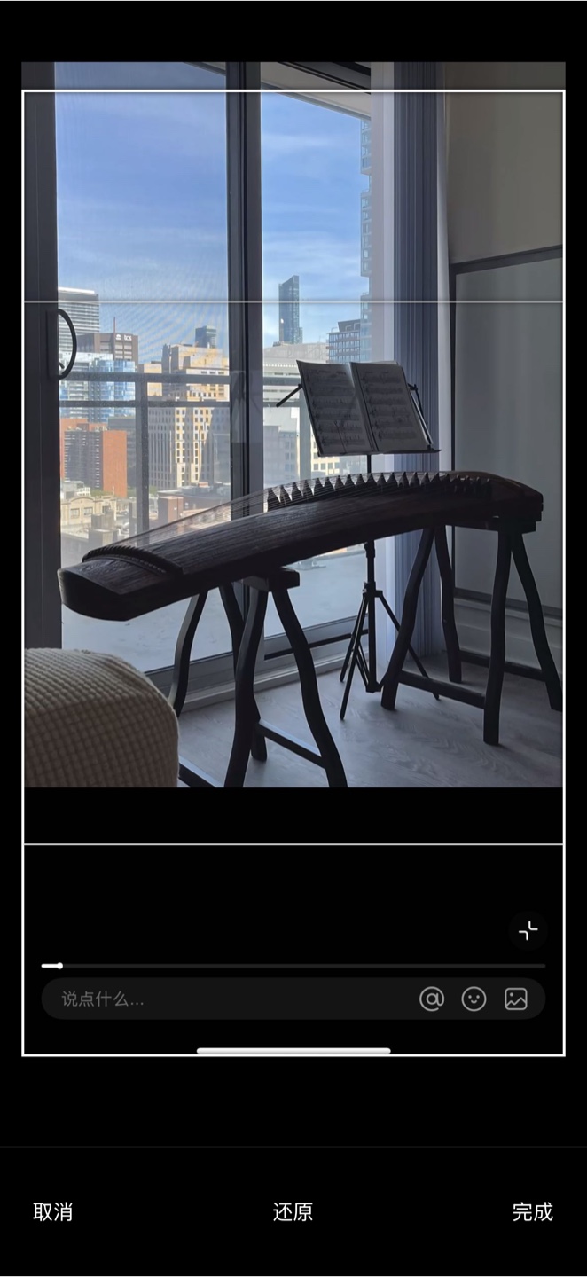 Guzheng - Chinese Zither