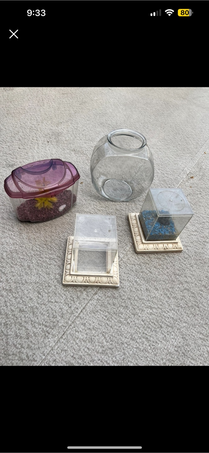 Three Small Aquariums/Terrariums