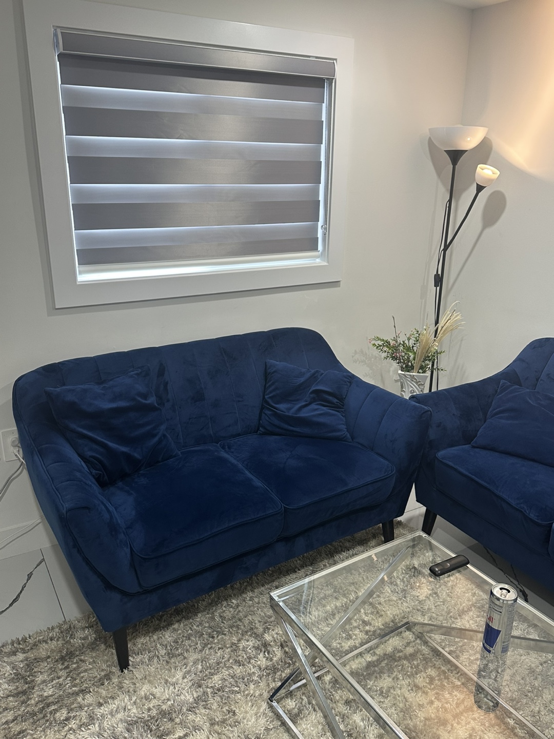 Gorgeous Blue Velvet Sofa Set