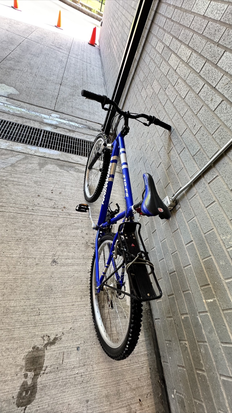 Schwinn 210-FS Mountain Bike - photo 4