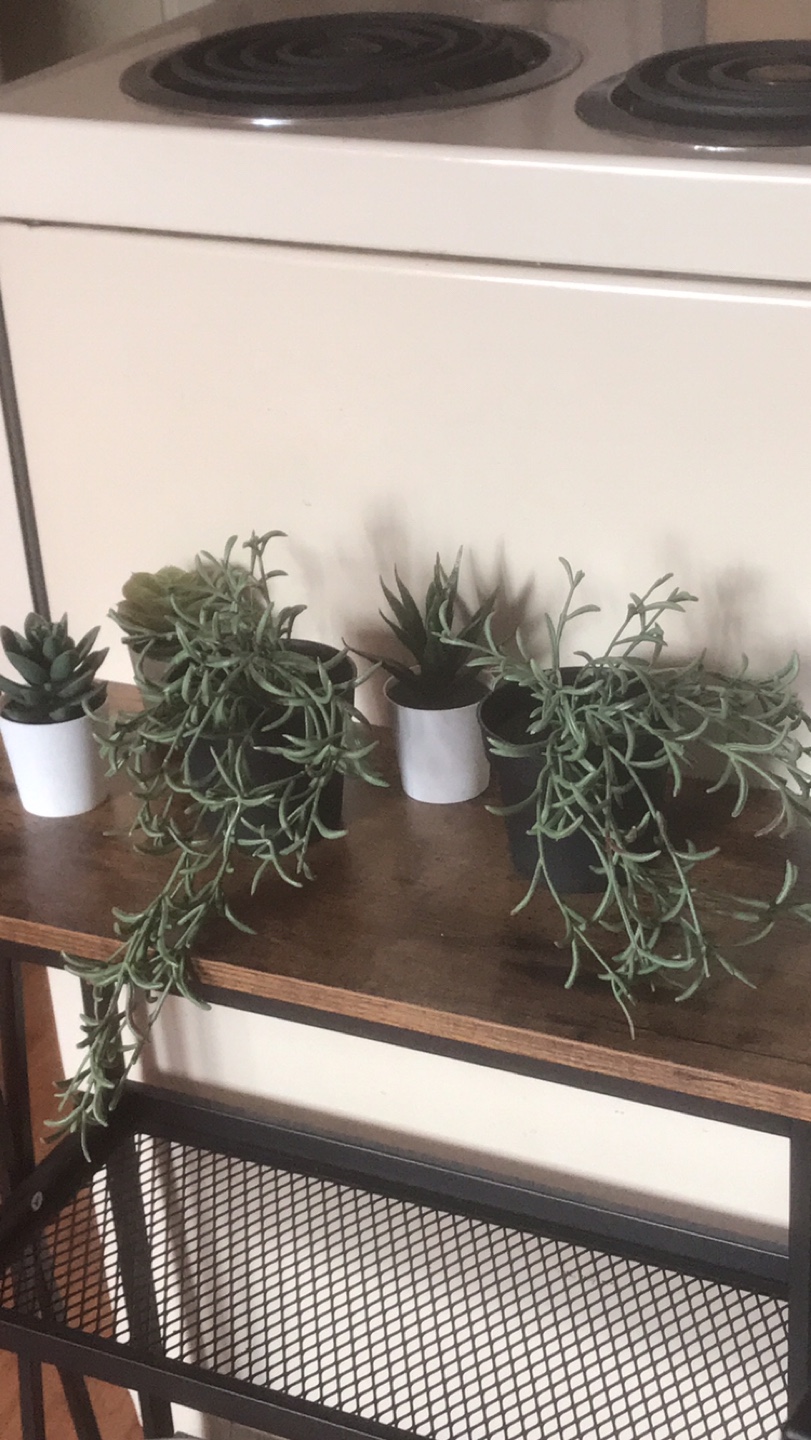 Rustic 3-Tier Shelf with Faux Succulents - photo 2