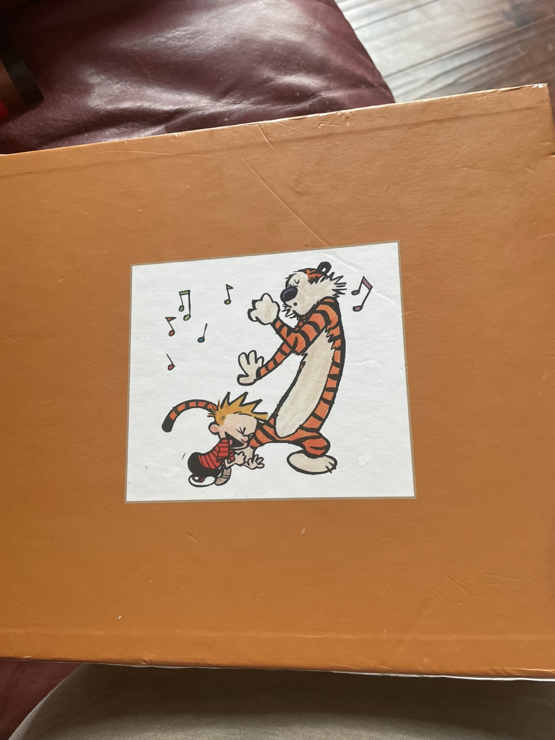 Calvin and Hobbes Collector's Box Set