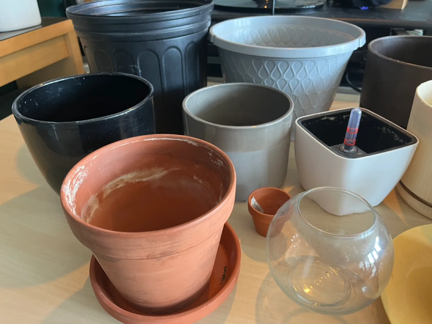 Assorted plant pots ($2-6ea or all for $40) image indicator(2)