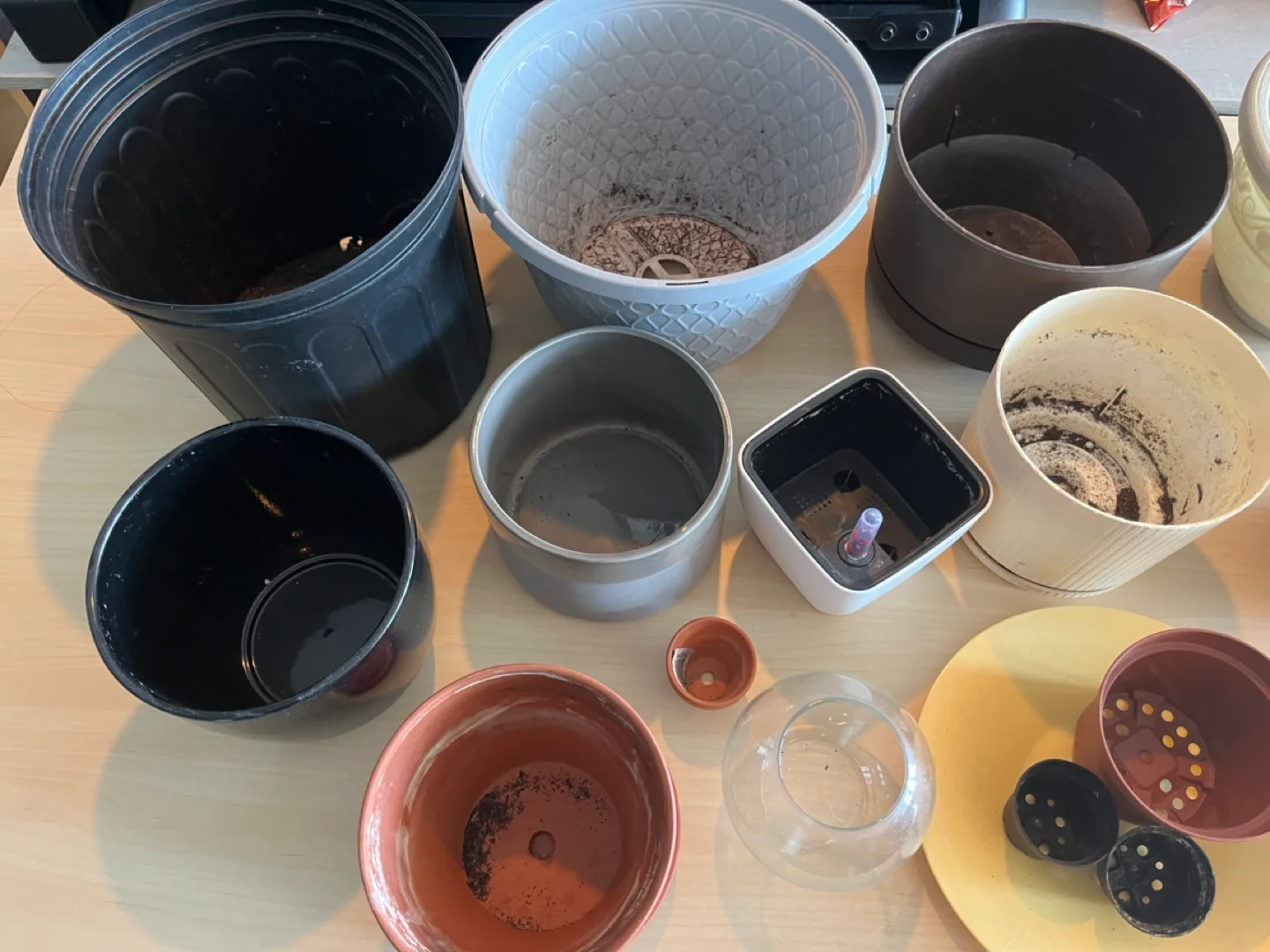 Assorted plant pots ($2-6ea or all for $40) image indicator(3)