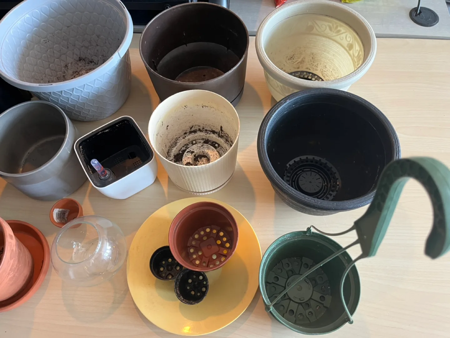 Assorted plant pots ($2-6ea or all for $40) image indicator(5)