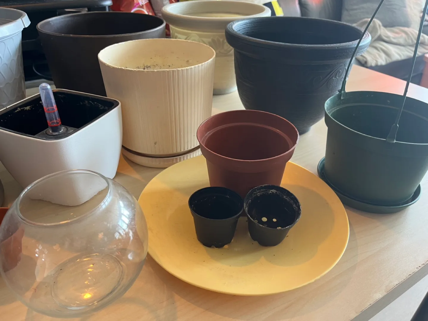 Assorted plant pots ($2-6ea or all for $40) image indicator(4)
