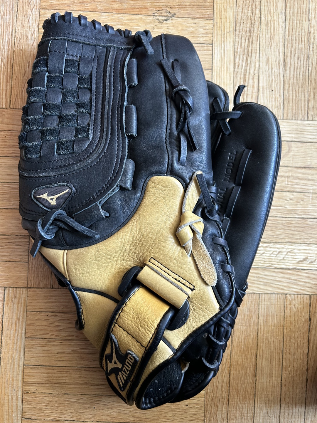 Mizuno Fastpitch Softball Glove