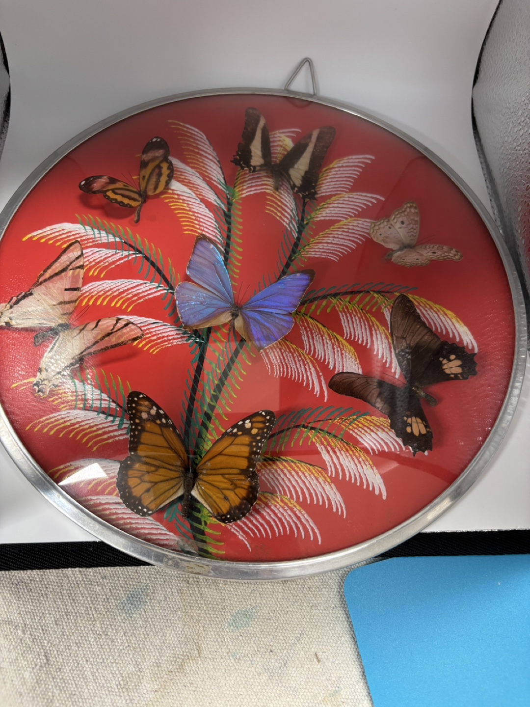 Vintage framed butterfly display - photo 3