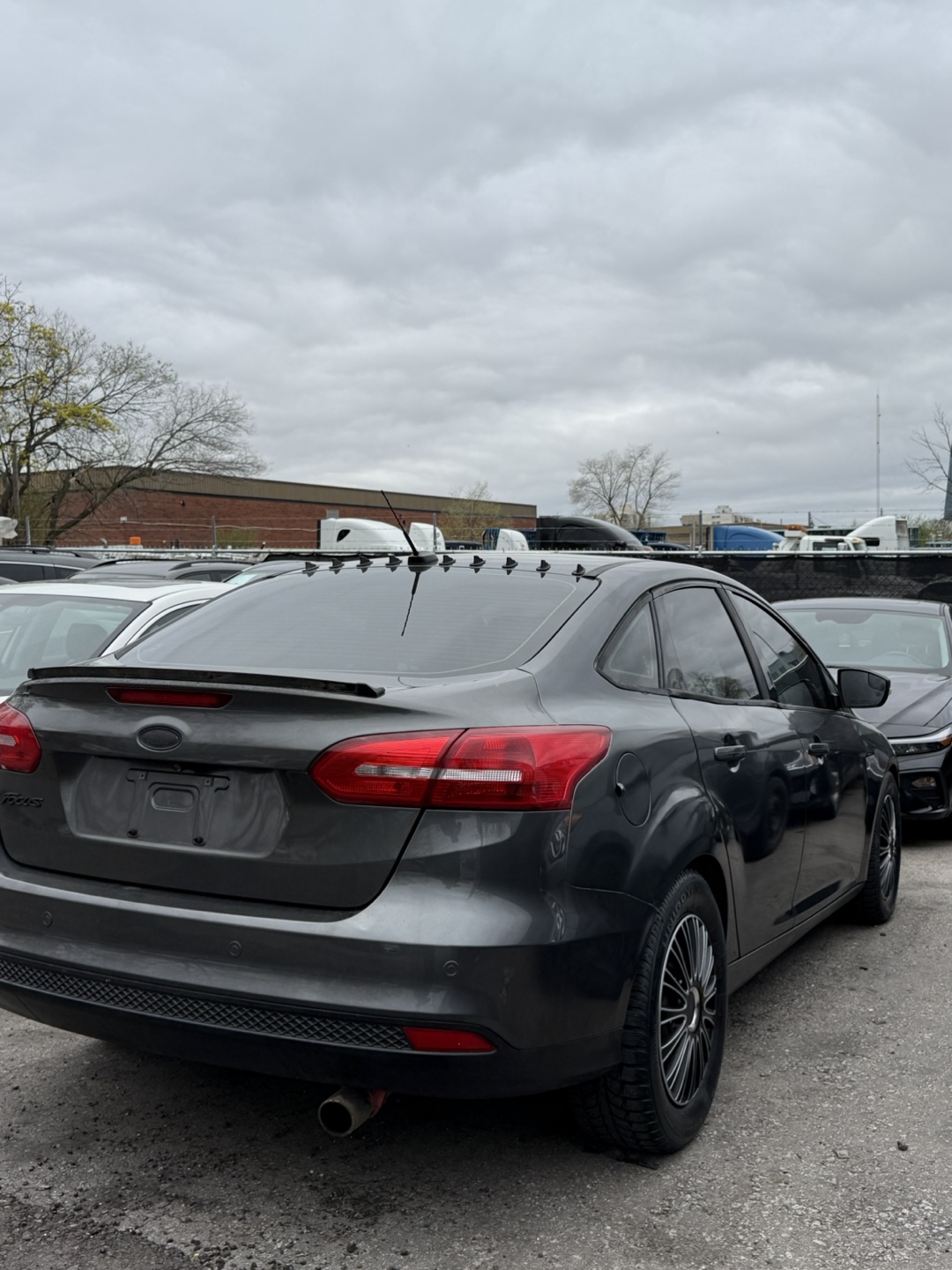2015 Ford Focus Sedan - photo 3