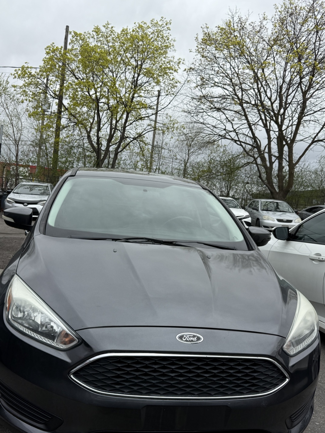 2015 Ford Focus Sedan - photo 2