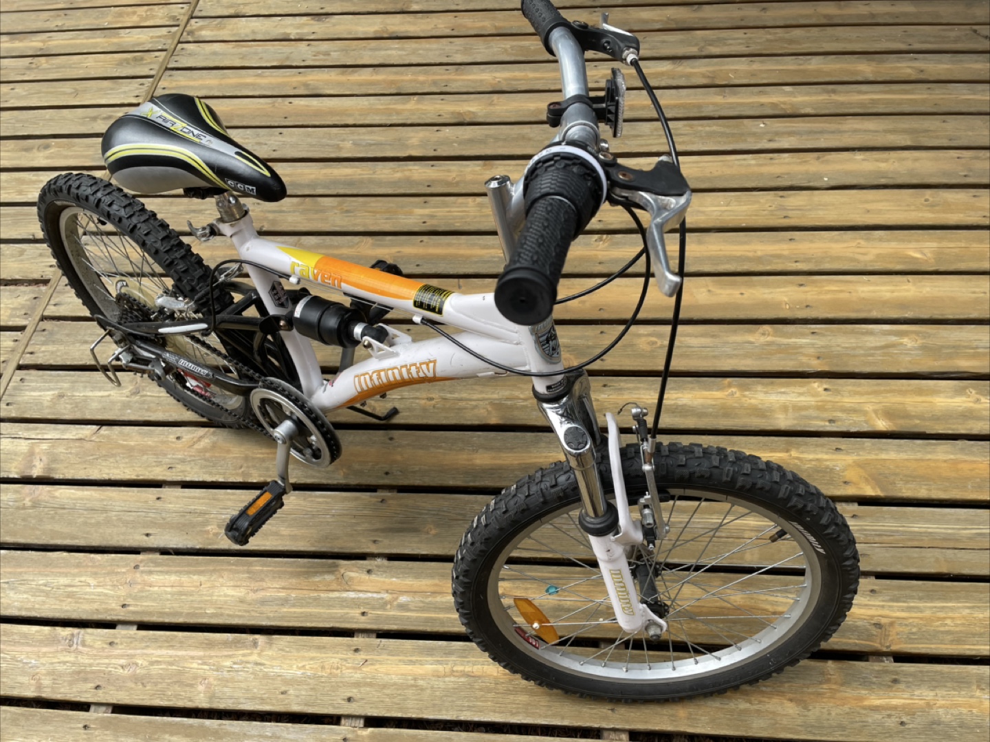 Infinity Raven 20" Kids' Mountain Bike plus bike pump