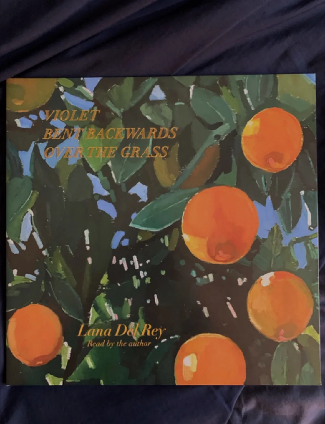 Lana Del Rey Violet Bent Backwards Vinyl UO Exclusive thumbnail
