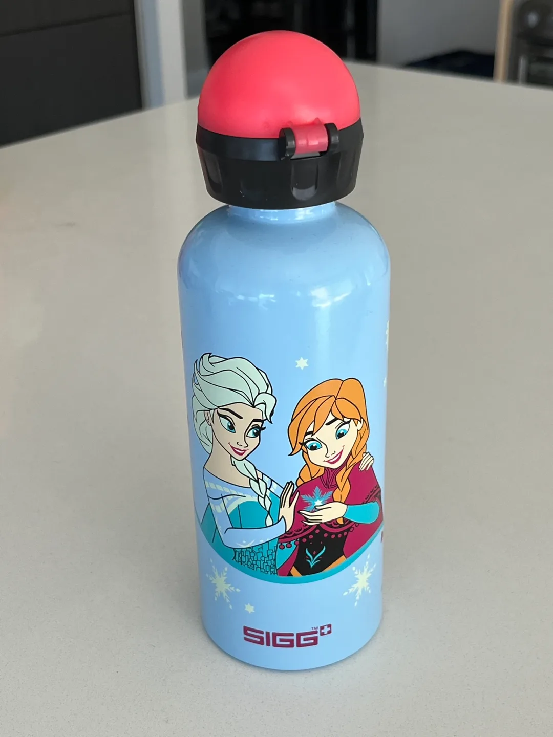 SIGG Frozen Water Bottle thumbnail