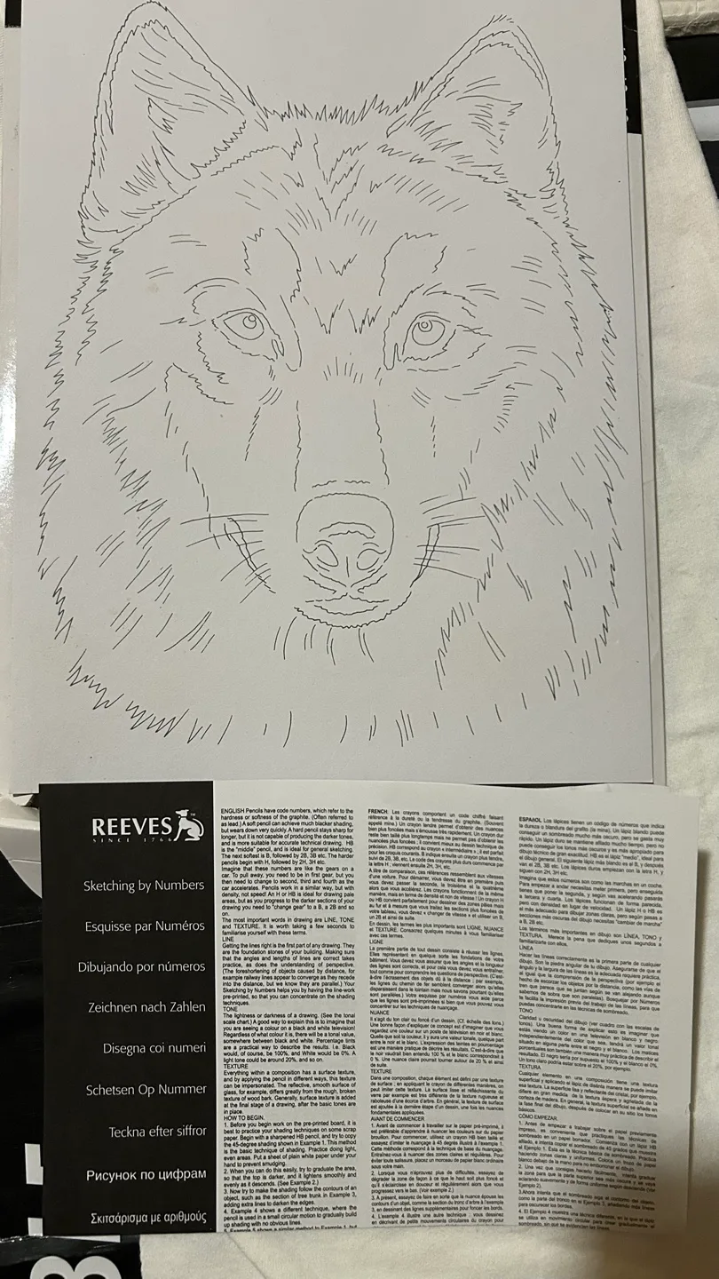 Reeves Sketching by Numbers Wolf Kit image indicator(2)