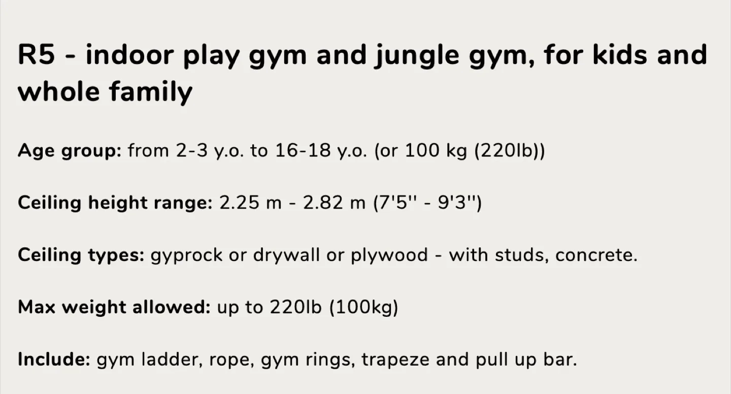 Indoor Play Gym and Jungle Gym for Kids and Family image indicator(5)