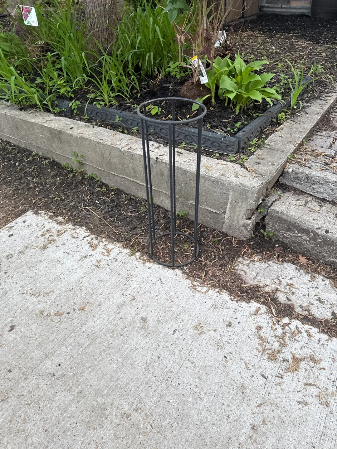 Black Metal Plant Support Cage thumbnail