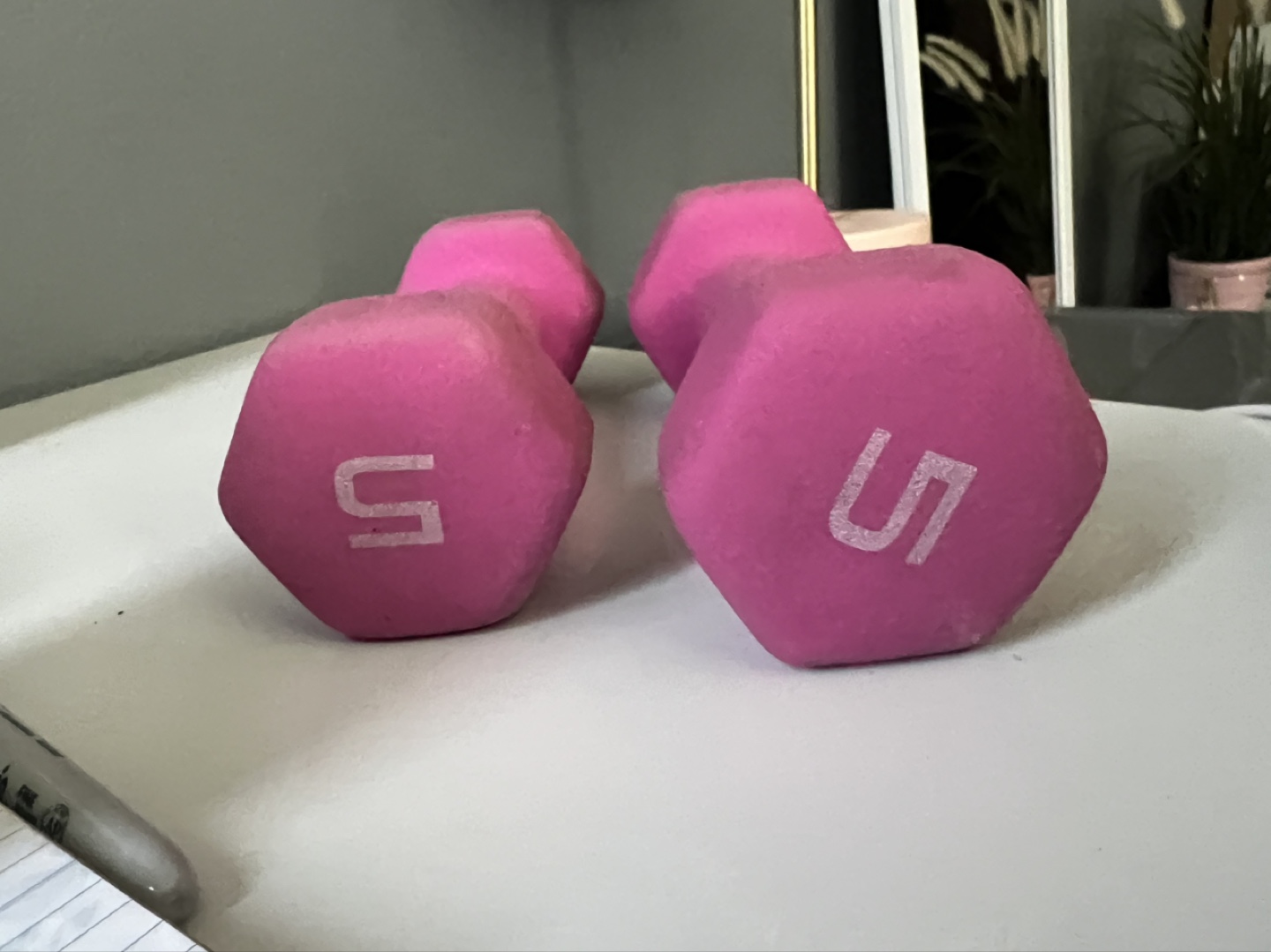 5lb Dumbbells - photo 4