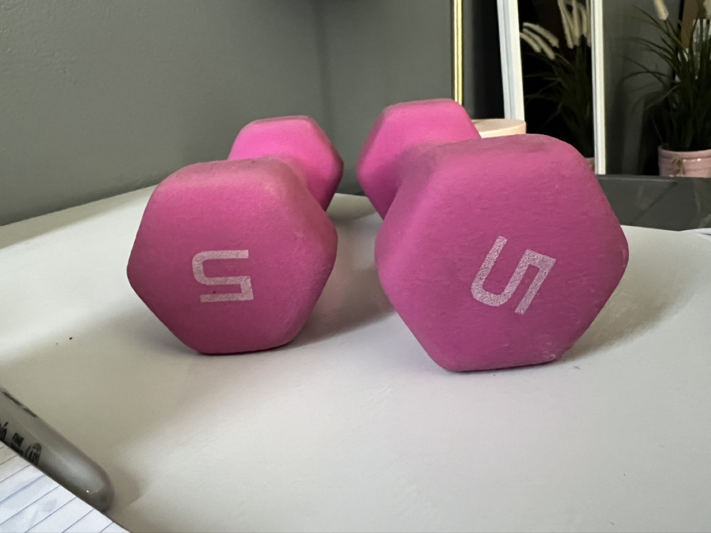 5lb Dumbbells