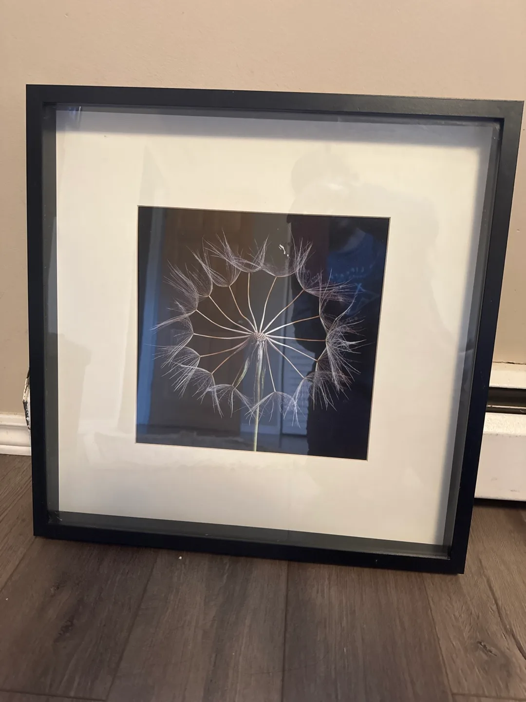 Assorted Frames thumbnail