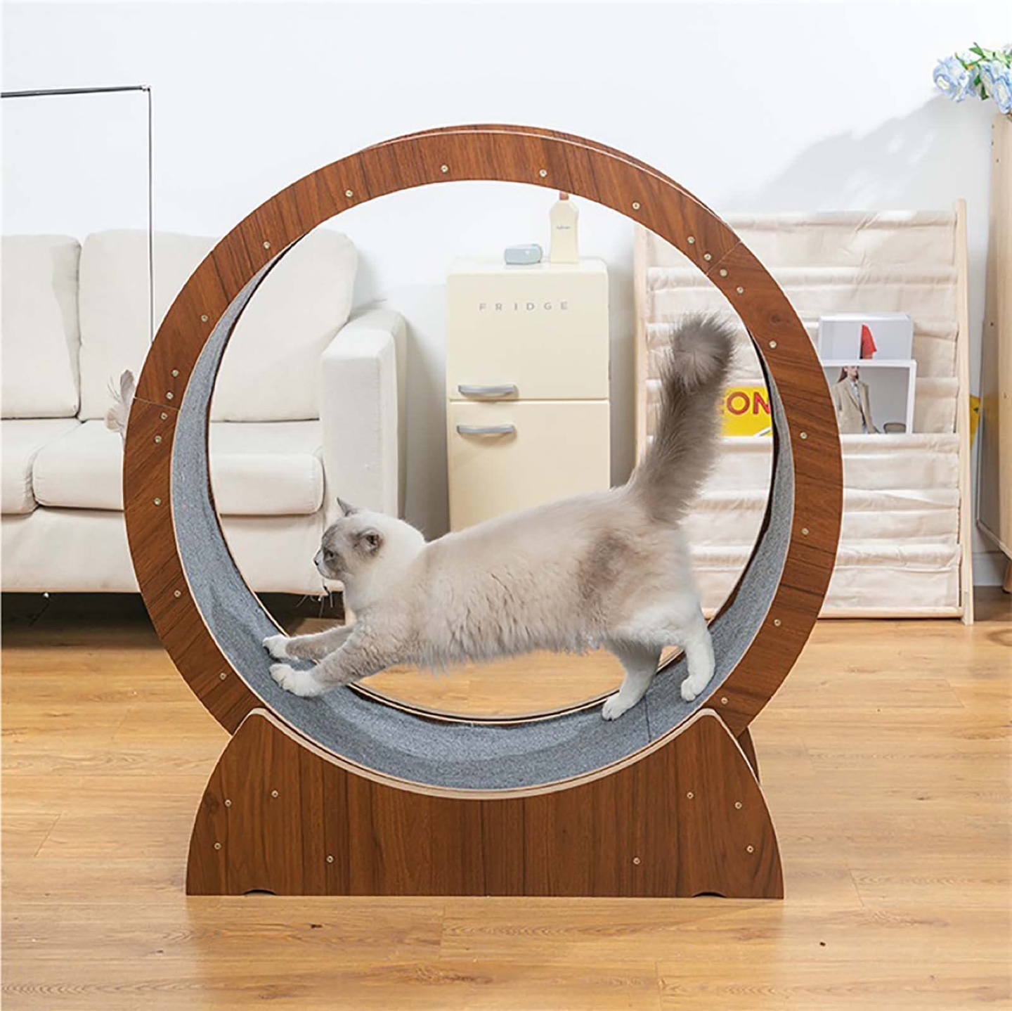 Cat Exercise Wheel - photo 4
