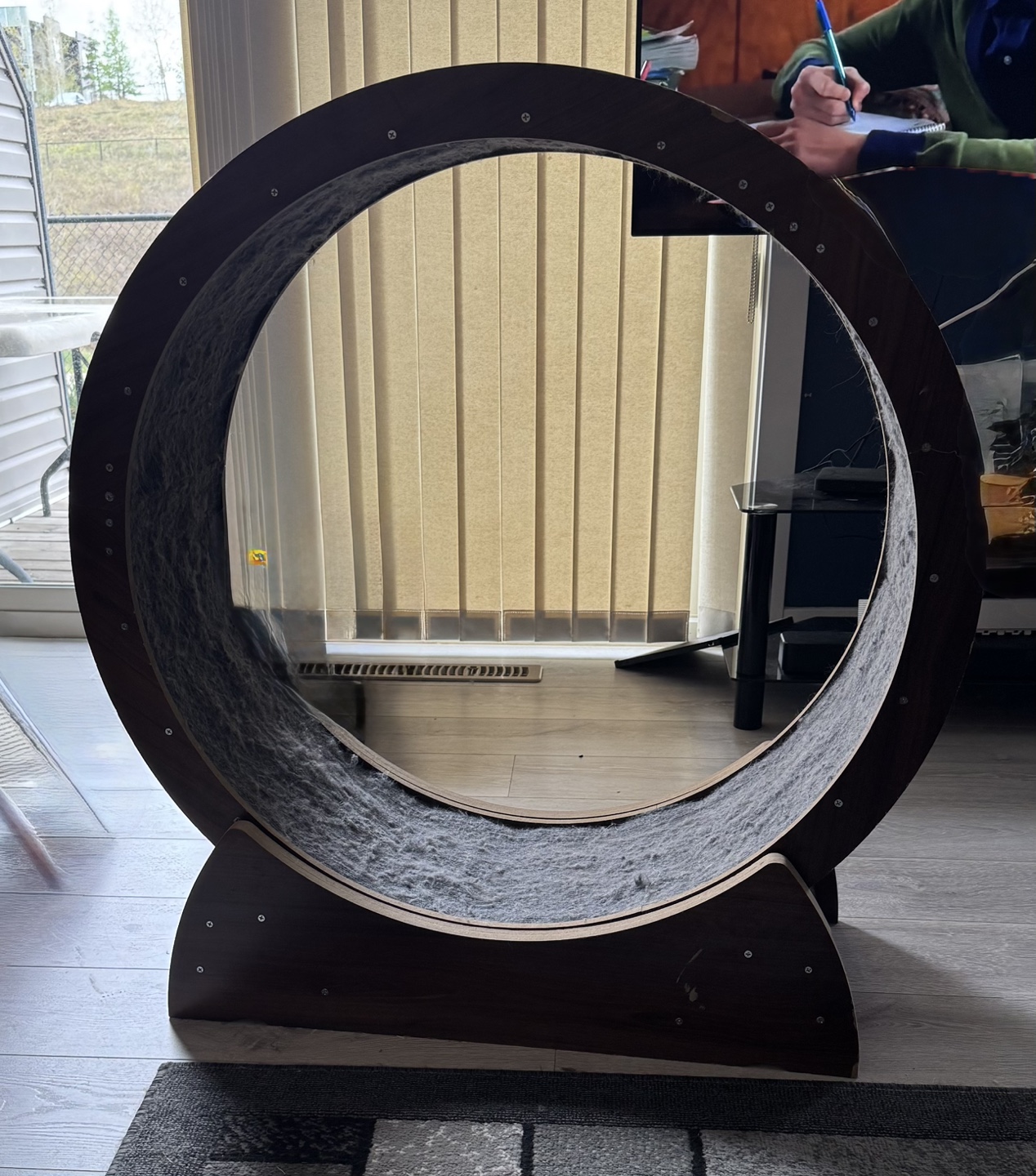 Cat Exercise Wheel - photo 3