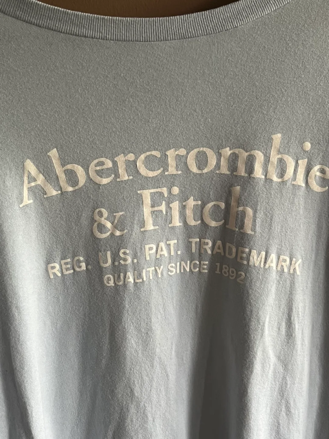 Brand New Abercrombie and Fitch Long Sleeve Logo Tshirt - Large image indicator(9)