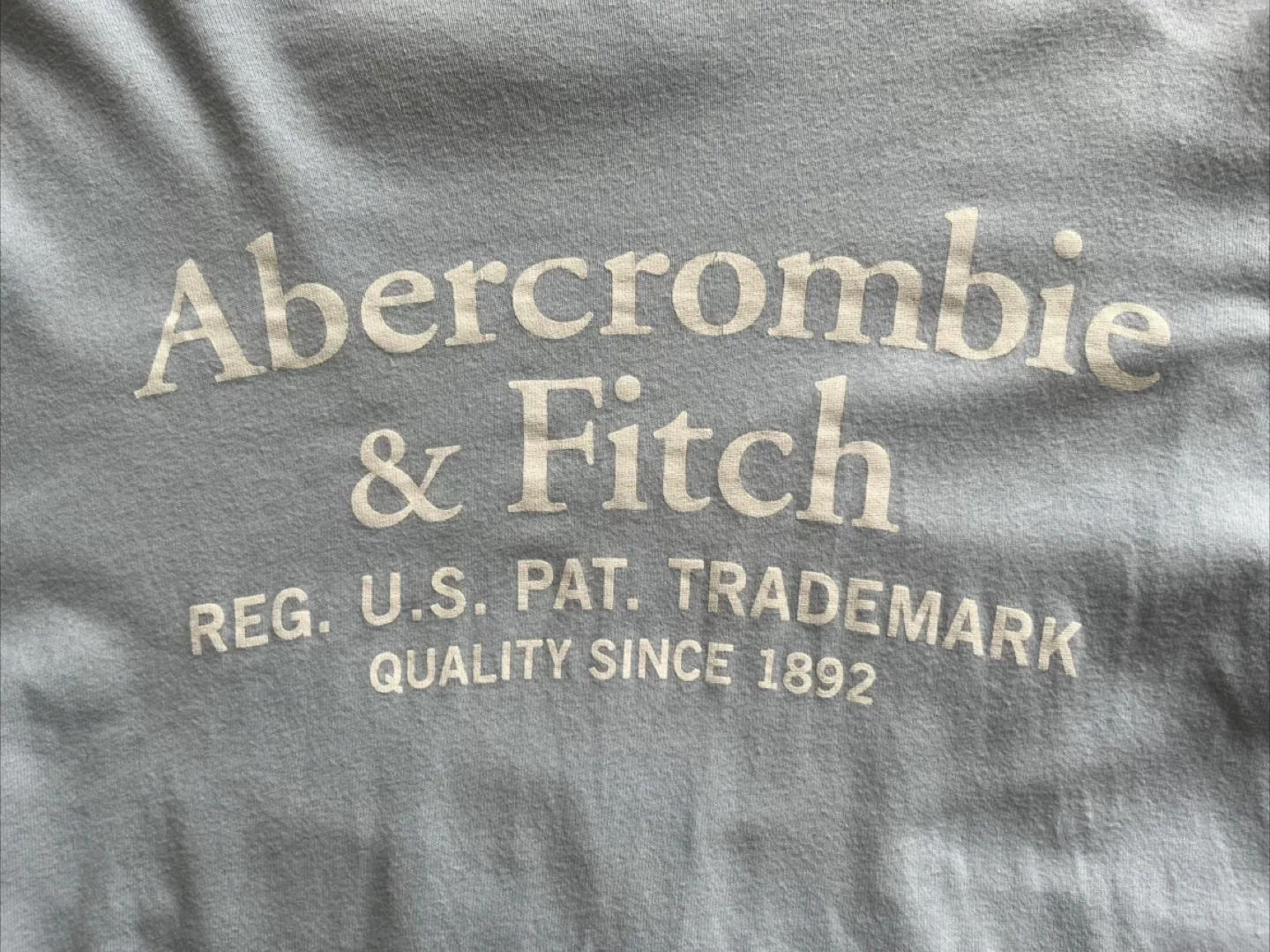 Brand New Abercrombie and Fitch Long Sleeve Logo Tshirt - Large image indicator(6)
