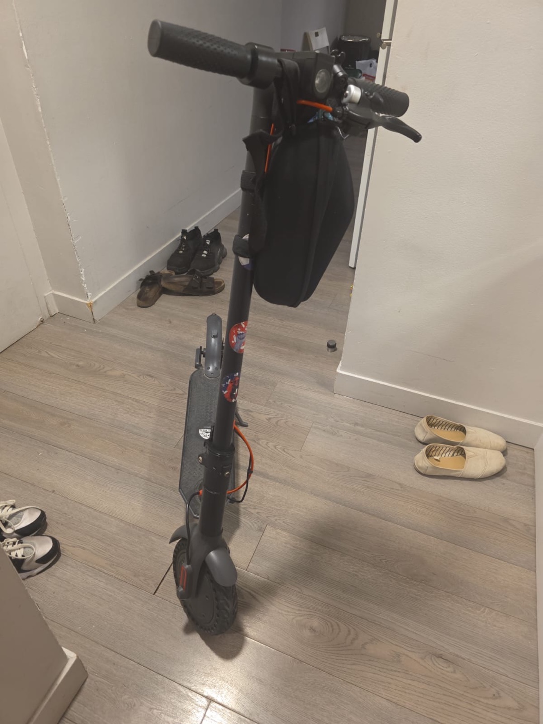 Electric Scooter with Carrying Bag - photo 4