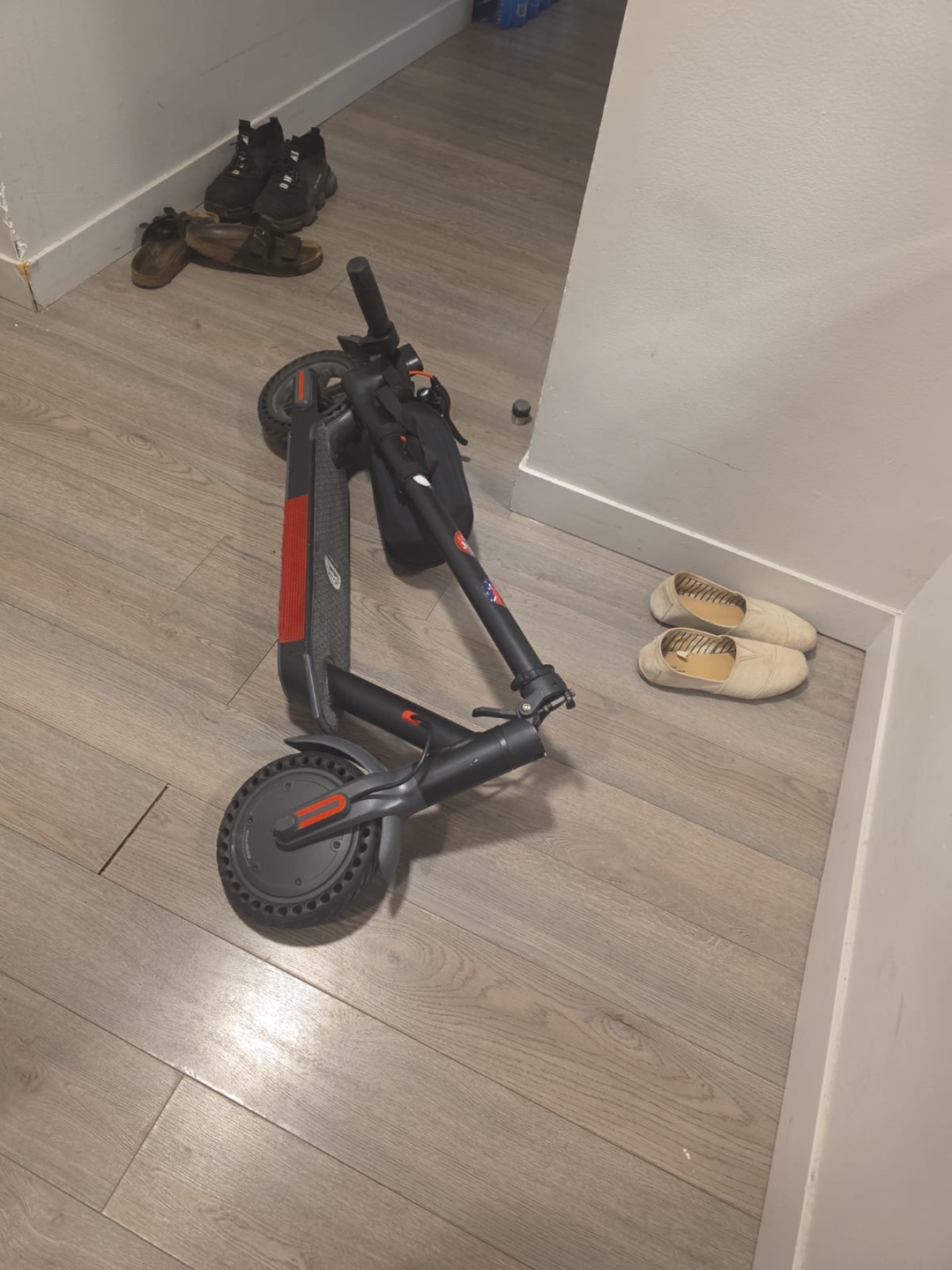 Electric Scooter with Carrying Bag
