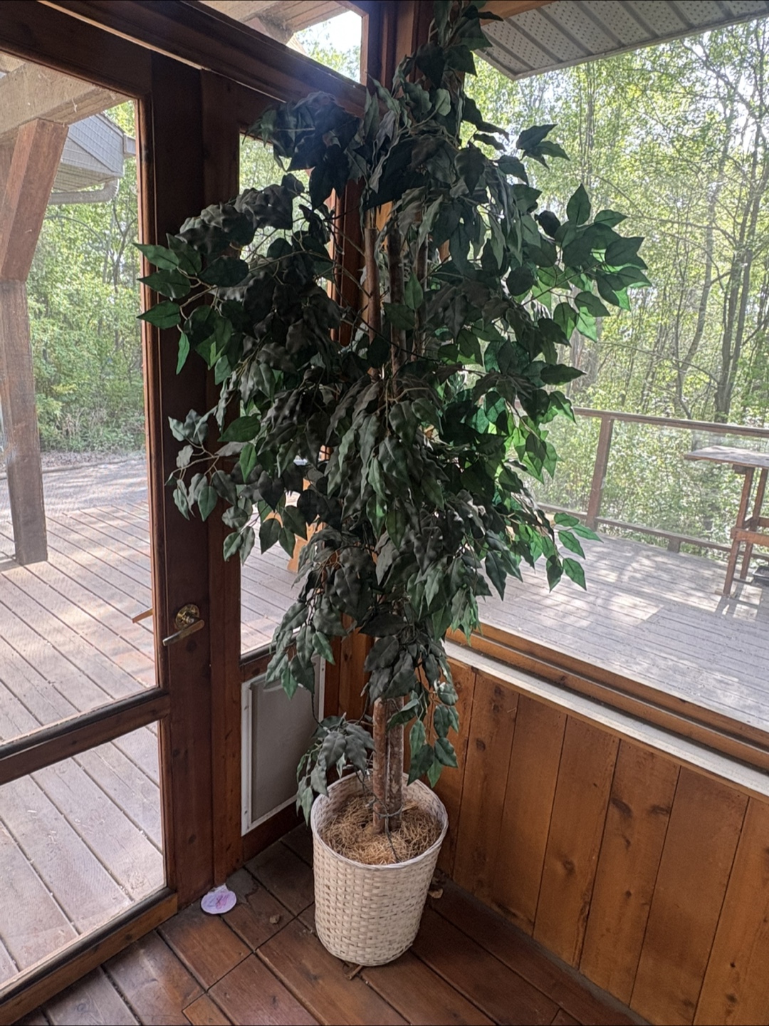 Large Artificial Ficus Tree - Fake Tree - photo 2