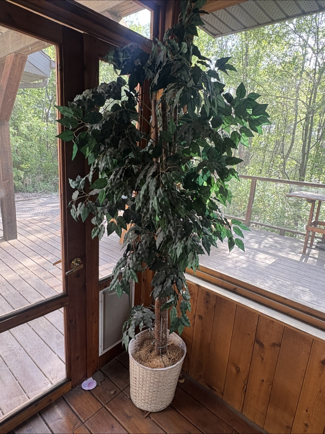 Large Artificial Ficus Tree - Fake Tree