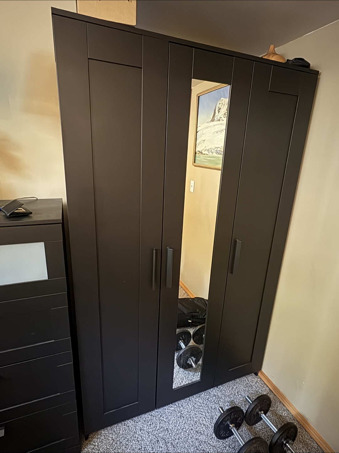 IKEA PAX Wardrobe with Mirror - photo 4