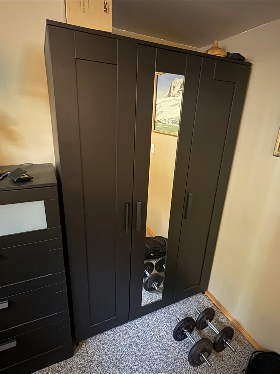 IKEA PAX Wardrobe with Mirror thumbnail