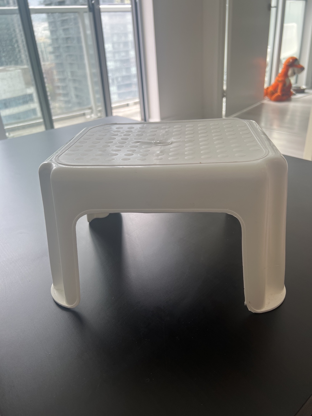White Plastic Step Stool
