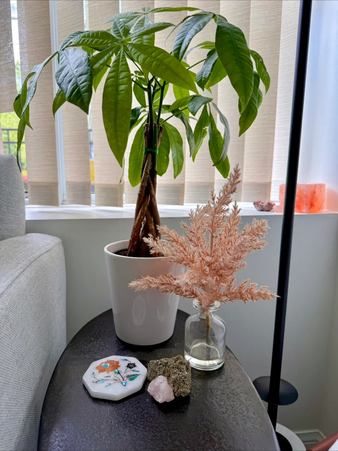 Dried Pampas Grass in Glass Vase image indicator(2)