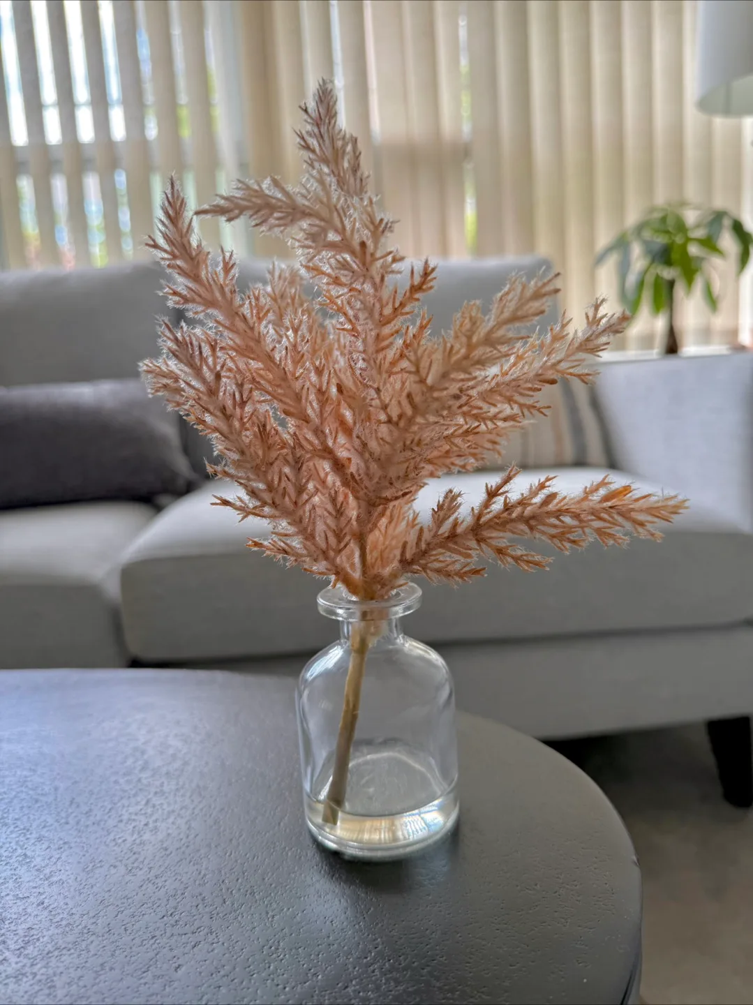 Dried Pampas Grass in Glass Vase image indicator(6)
