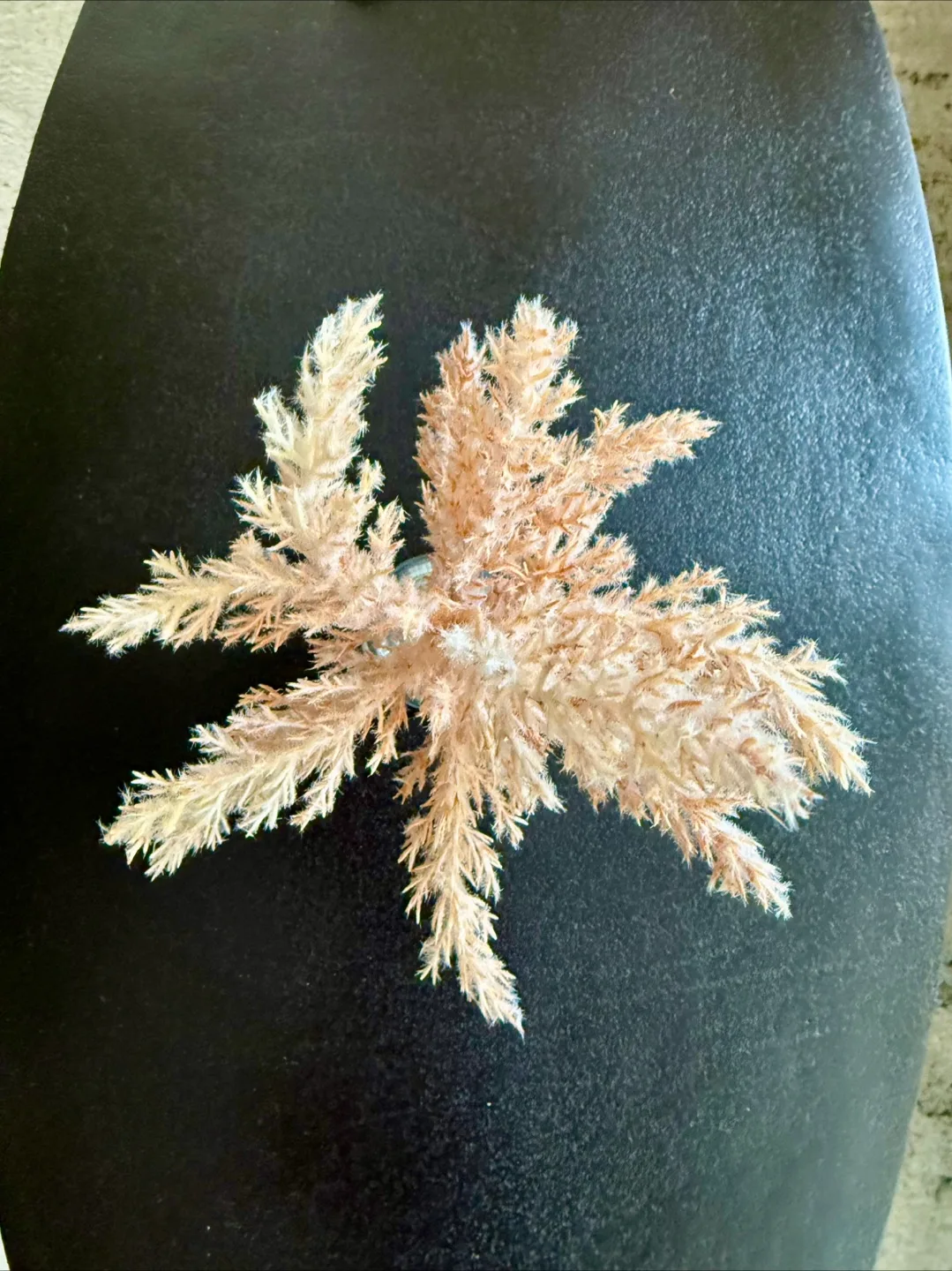 Dried Pampas Grass in Glass Vase image indicator(3)