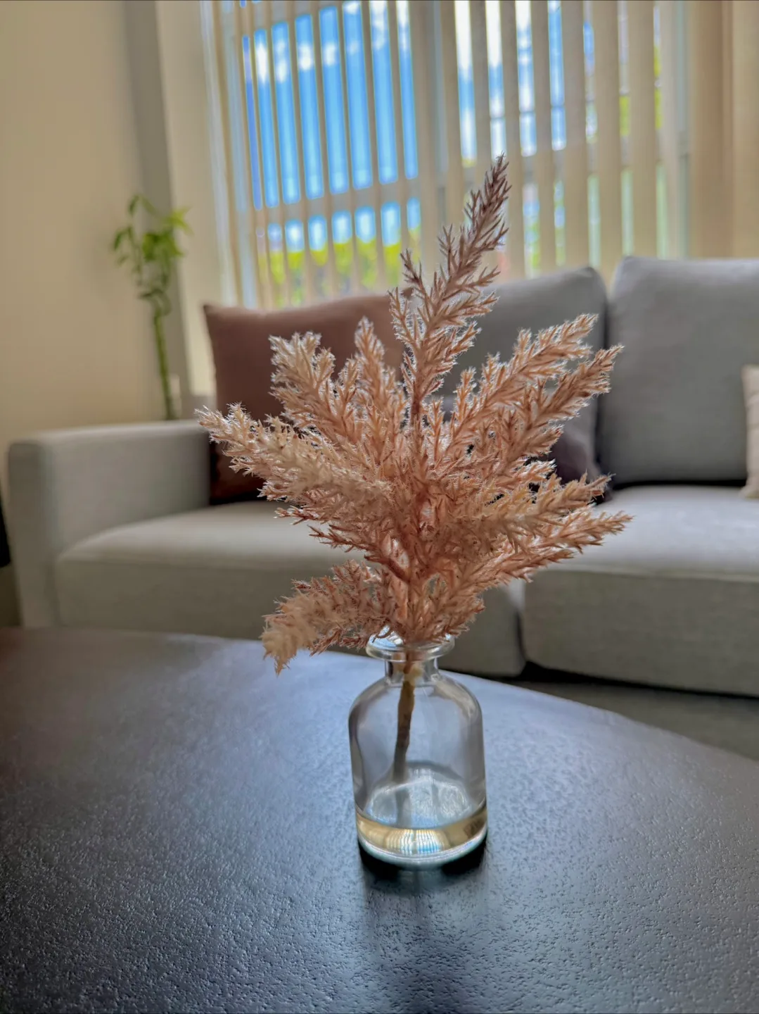 Dried Pampas Grass in Glass Vase image indicator(4)