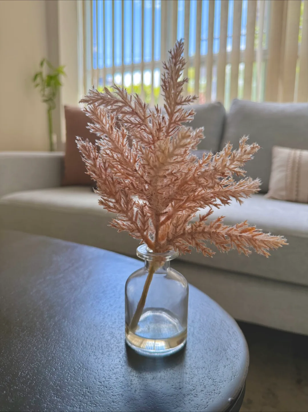 Dried Pampas Grass in Glass Vase thumbnail