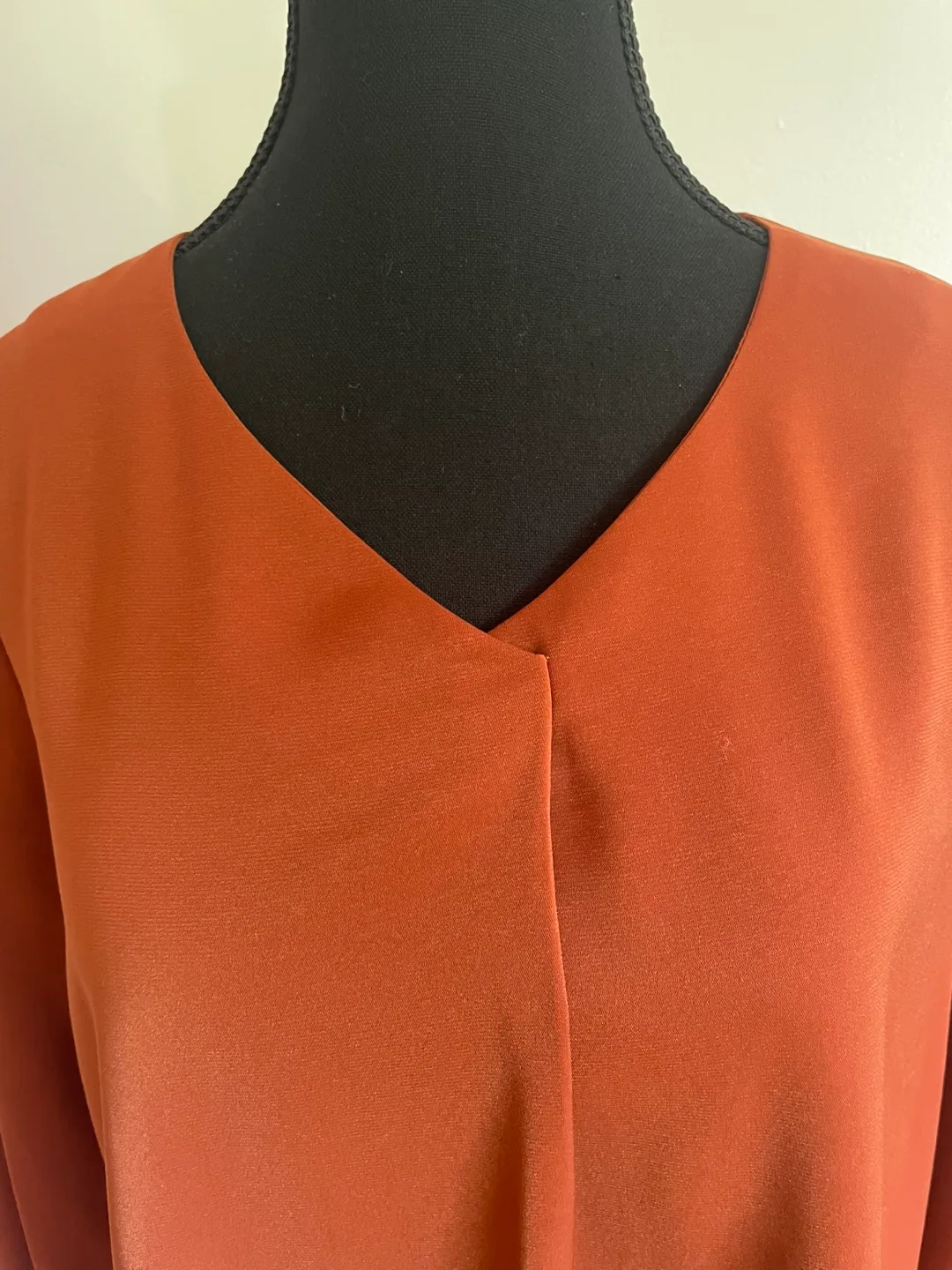 Burnt Orange Long Sleeve Blouse image indicator(5)