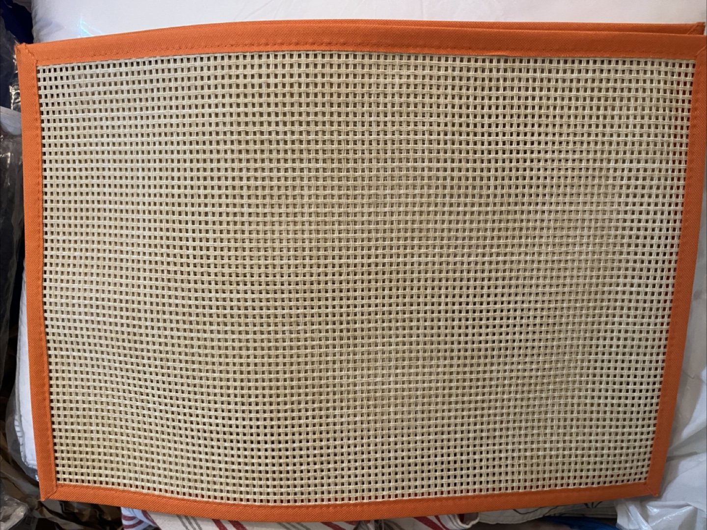 Placemats- Orange Trim