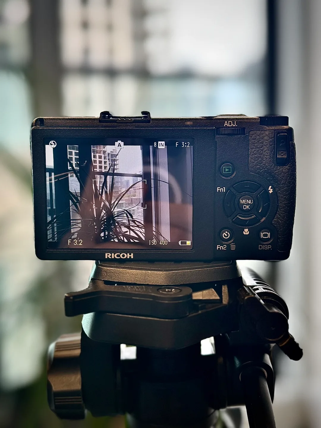 Ricoh GR Digital III Camera image indicator(2)